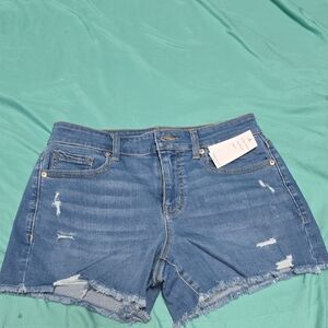 Denim Blue Women's Distressed Shorts